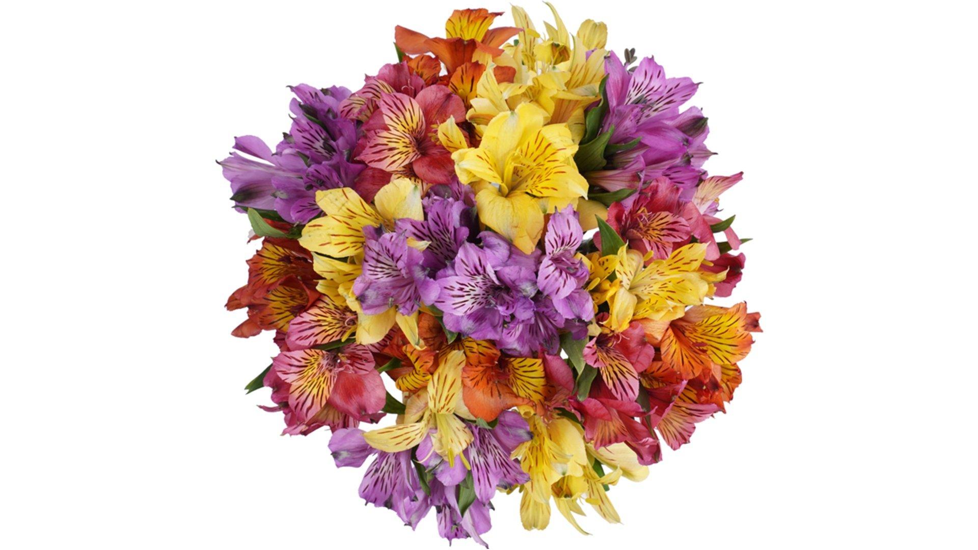 Rainbow Alstroemeria Flower Bouquet (10 ct)
