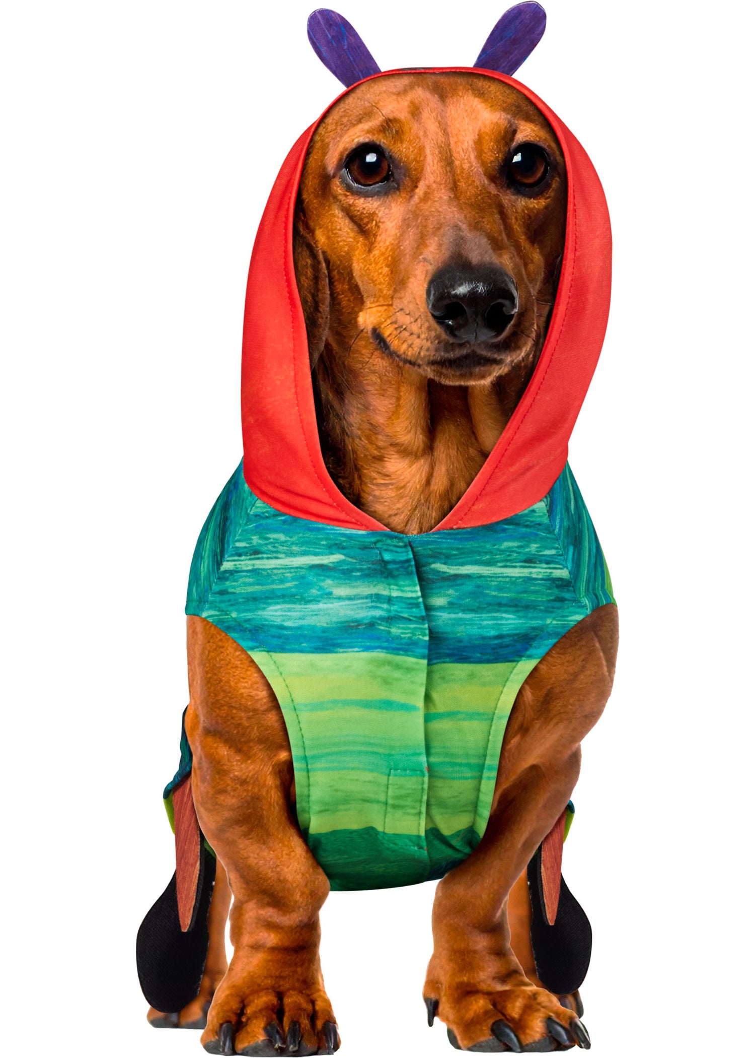 Very Hungry Caterpillar Pet Costume